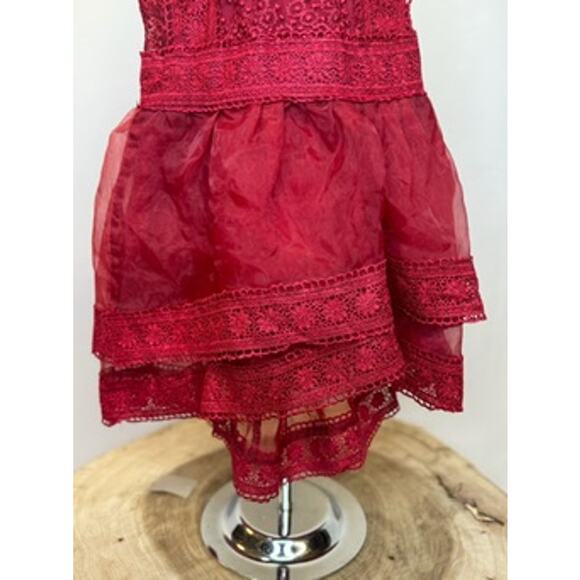 Trish Scully Girls Lace Dress - Size 6M-12M - Picture 3 of 9
